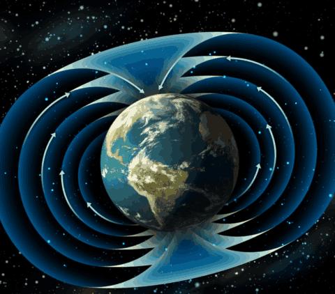 塑料污染每年造成损失超1.5万亿美元