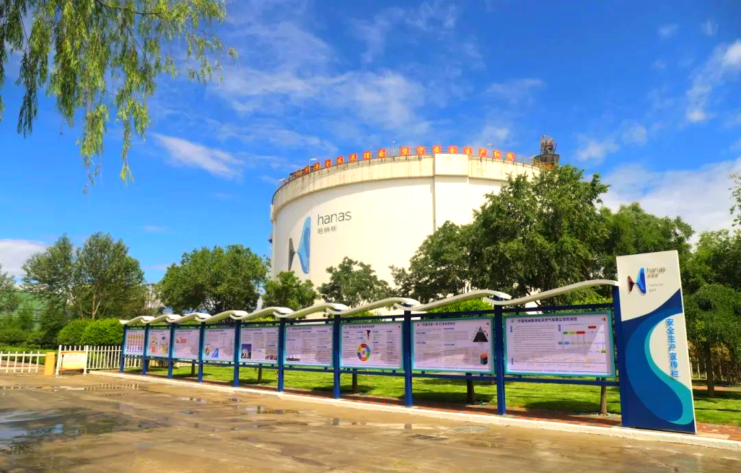 能源安全有效保障 绿色转型举世瞩目