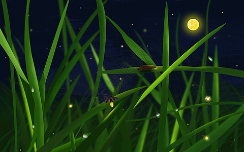 绿色萤火虫 “落户”乔家小学