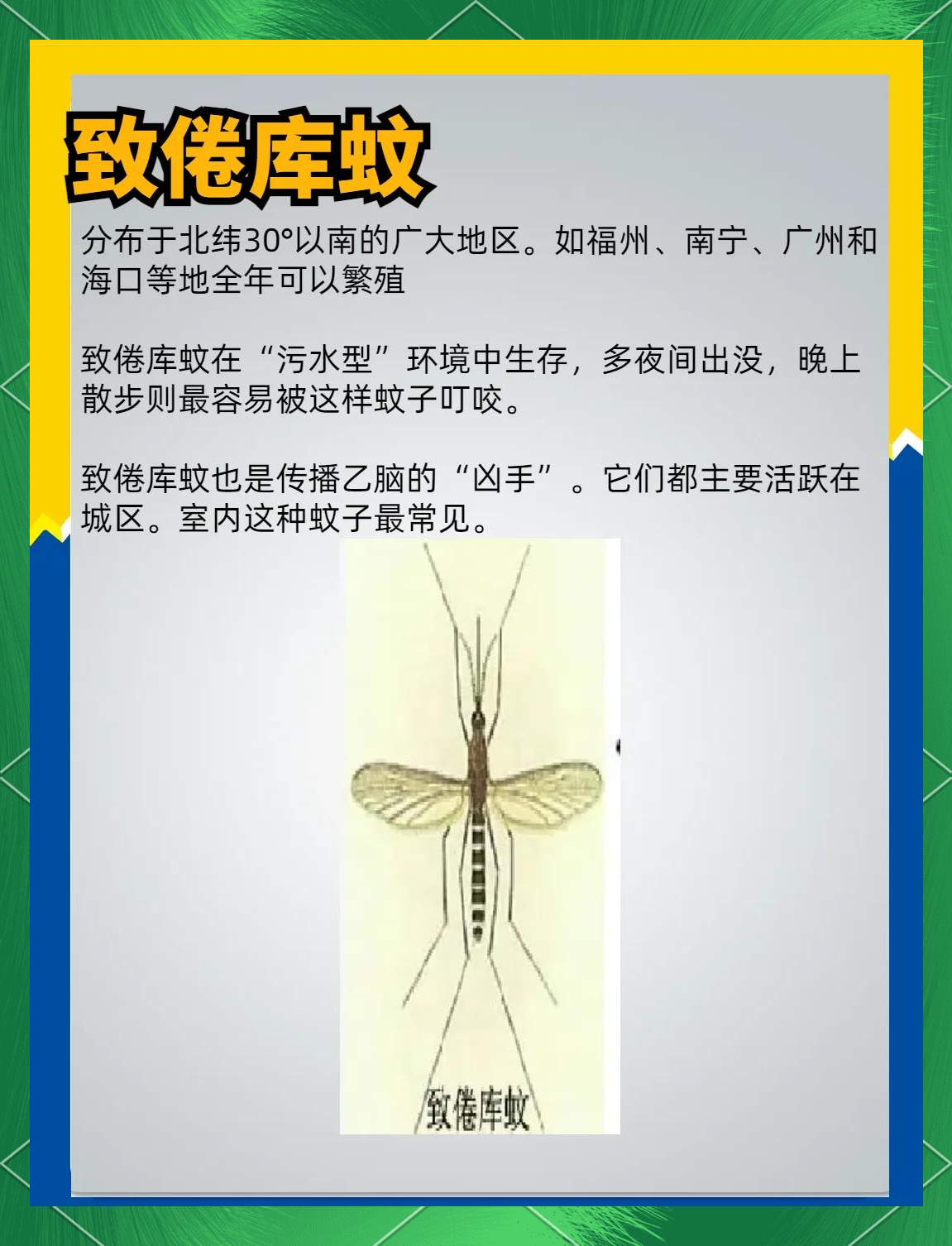 唠“科”话丨为啥蚊子总叮你？“招蚊”跟血型相关？