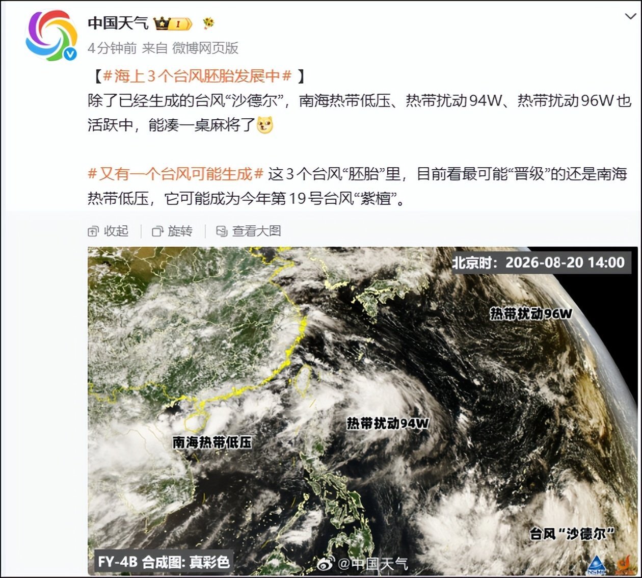 8月已生成10个台风!今年台风,为何如此活跃?